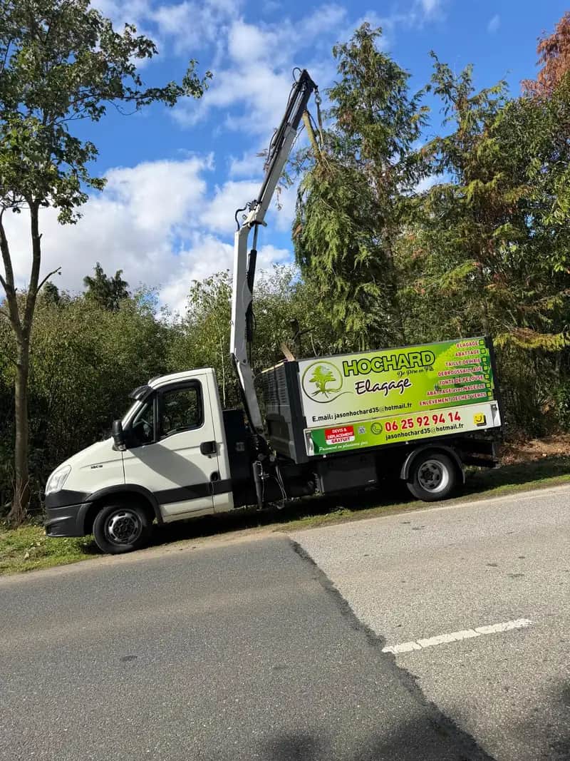 Camion grue Hochard Élagage en bord de route en centre Bretagne