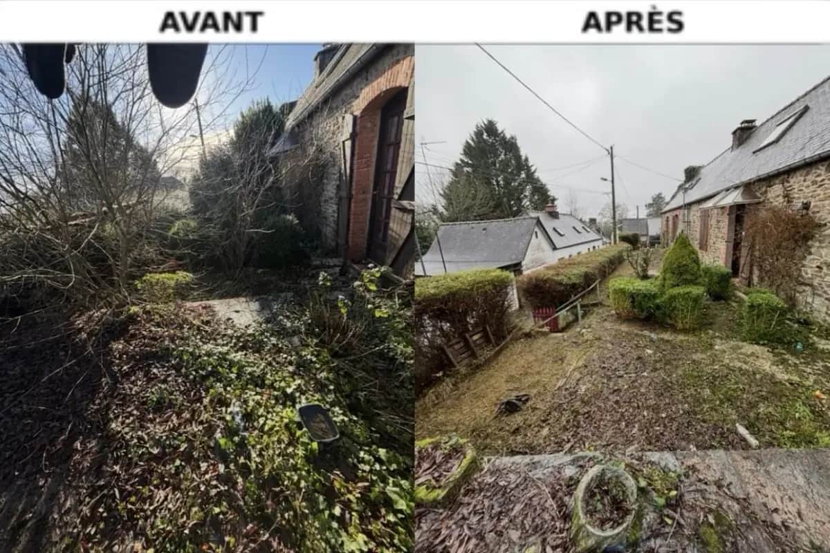 Jardin d'une maison en pierre envahi de ronces, avant et après remise en état en centre Bretagne, Hochard Élagage