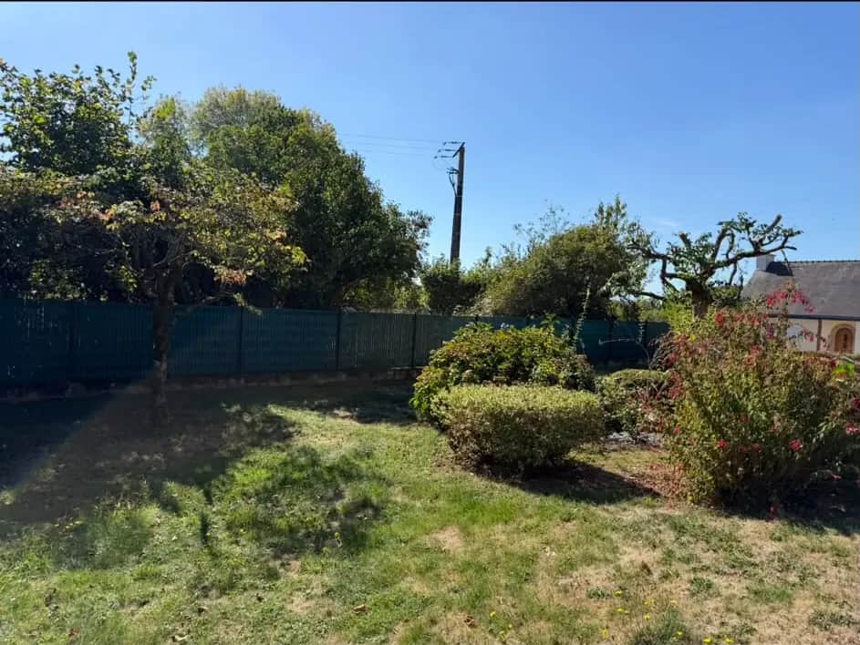 Arbre de jardin après élagage par Hochard Élagage en centre Bretagne