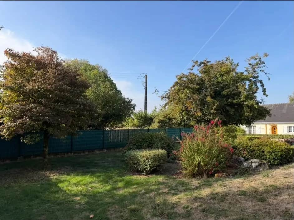Arbre de jardin avant élagage par Hochard Élagage en centre Bretagne